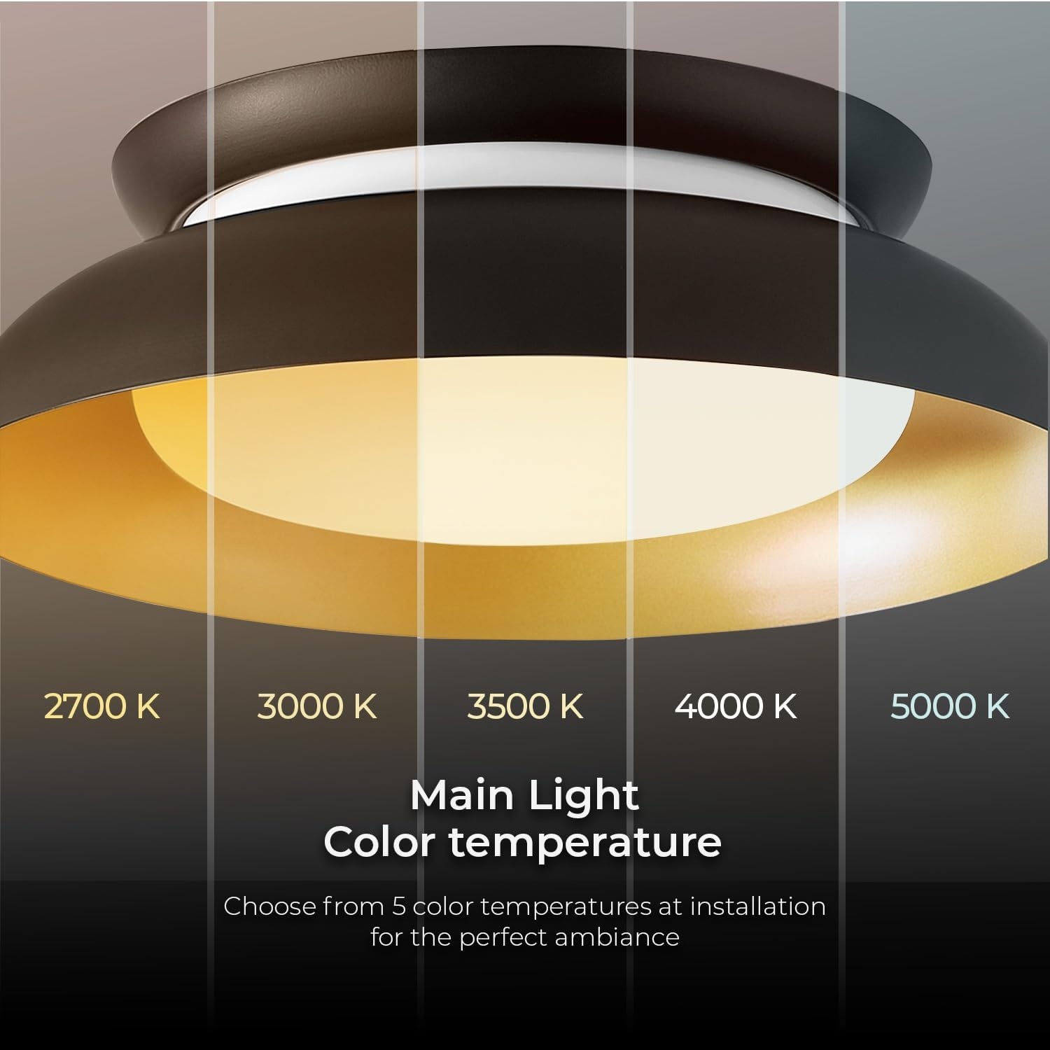 image:imageGlobe Electric 60309 2Light Flush Mount Ceiling Light Matte Black Antique Brass Accents Frosted Glass Shade Bedroom Lighting Fixtures Ceiling Dining Room Fixture Lighting for HallwayMatte Black and Gold