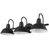 Matte Black  Barnyard (Vanity Light)