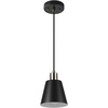 Black  Brass Accents