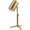 Matte Brass  Pratt
