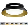 Matte Black and Gold