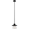 Oil Rubbed Bronze (1-Light)
