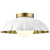 White & Brass