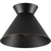 Matte Black  Bronze Trim