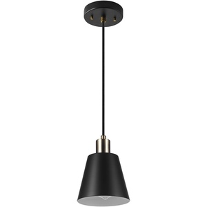 GLOBE Electric 67000153 1-Light Plug-in or Hardwire Pendant Light Fixture, Matte Black, Brass Accents, Living Room Pendant Light, Dining Room Fixture, Hanging Lamp, Hanging Lights for Bedroom(Black  Brass Accents)