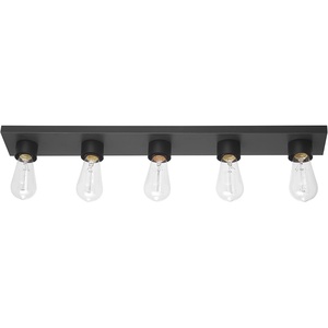 Globe Electric 65000044 2-Light Wall Sconce, Matte Black, Antique Brass Accent, E12 Base Sockets, Lights for Living Room, Home Decor, Lighting, Mounted Bedside Lamp(Matte Black  Alden)