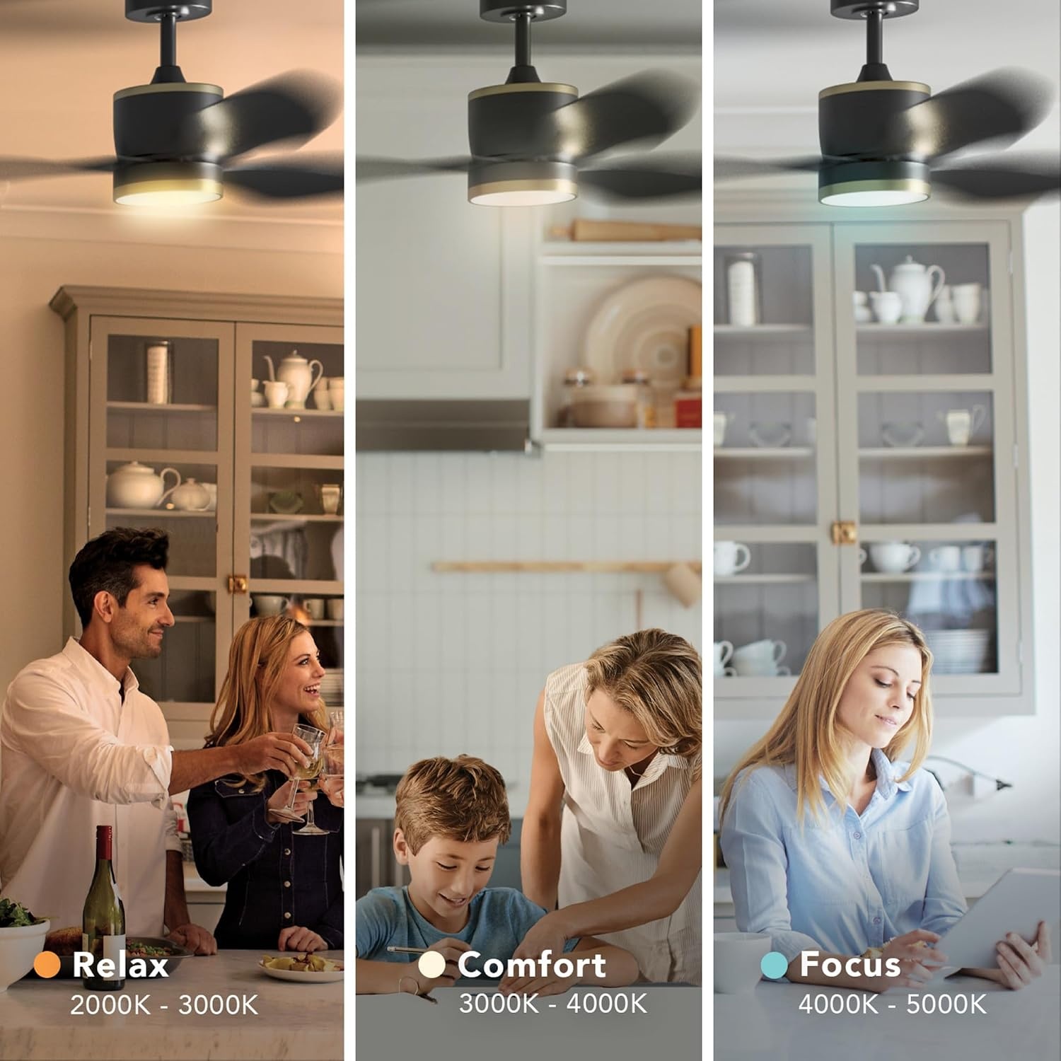 image:imageGLOBE Electric Edinburgh 48 in Smart Ceiling Fan with LED Light Remote Control Whisper Quiet DC Motor 6 Speeds Black with Brass Accents