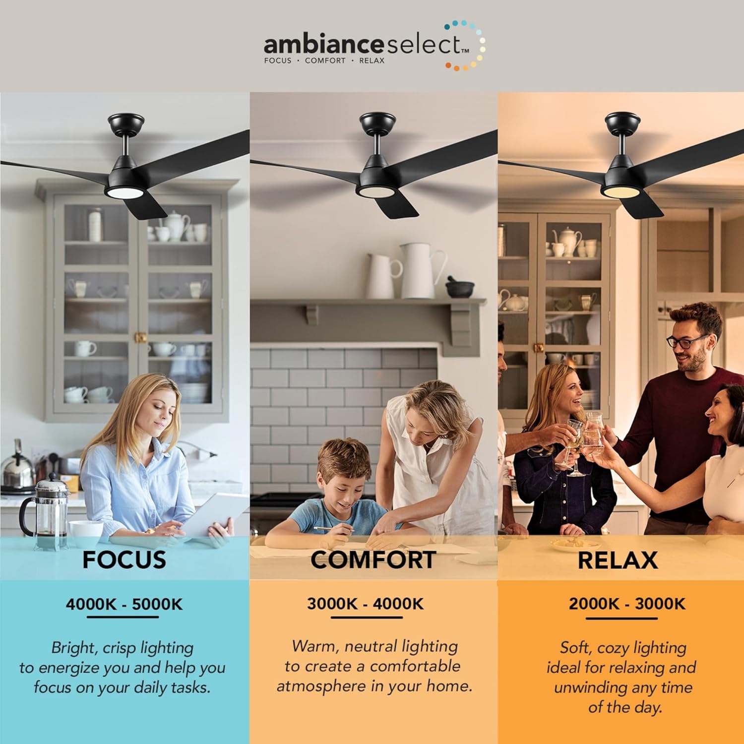 image:imageGlobe Electric 37000023 52 2Light Ceiling Fan with Glass Shade Remote Control WhisperQuiet DC Motor 6 Speeds Matte Black IndoorOutdoorBlack Aeron