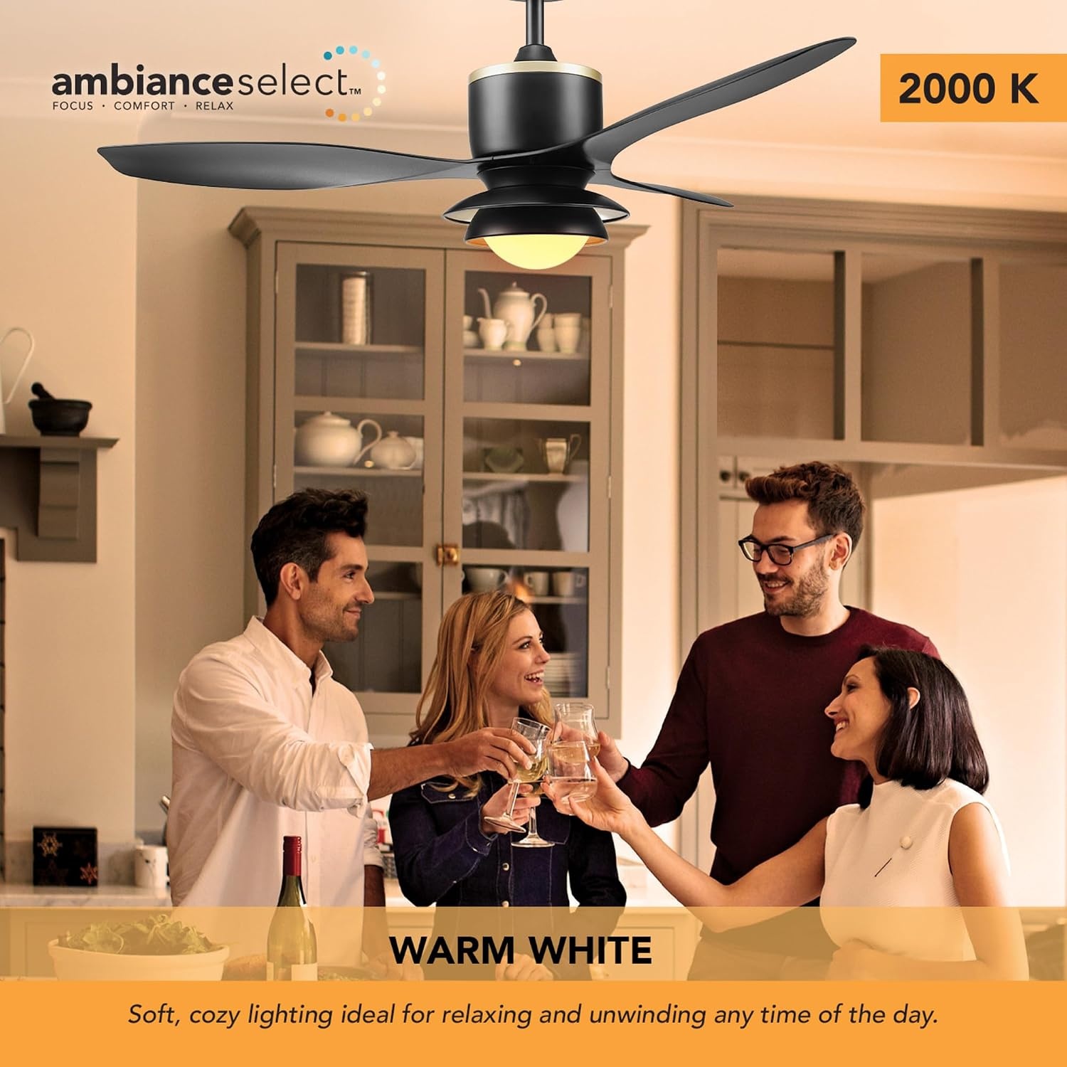 image:imageGlobe Electric 37000023 52 2Light Ceiling Fan with Glass Shade Remote Control WhisperQuiet DC Motor 6 Speeds Matte Black IndoorOutdoorBlack Oswald