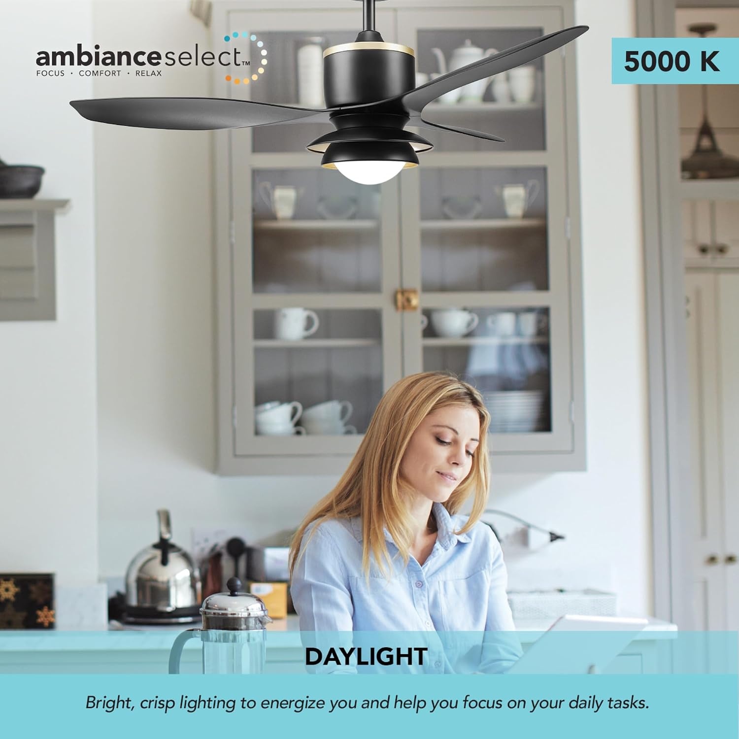 image:imageGlobe Electric 37000023 52 2Light Ceiling Fan with Glass Shade Remote Control WhisperQuiet DC Motor 6 Speeds Matte Black IndoorOutdoorBlack Oswald
