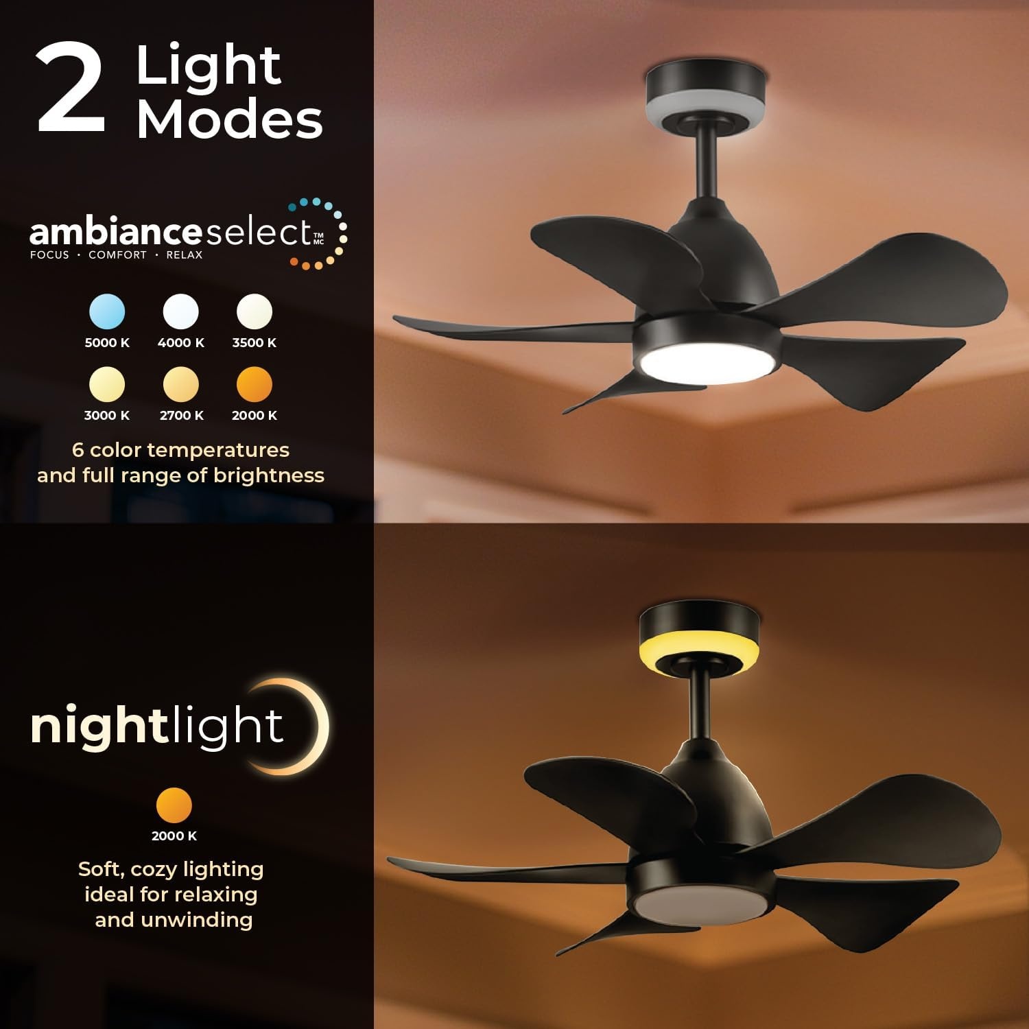 image:imageGlobe Electric 37000023 52 2Light Ceiling Fan with Glass Shade Remote Control WhisperQuiet DC Motor 6 Speeds Matte Black IndoorOutdoorBlack Solarus