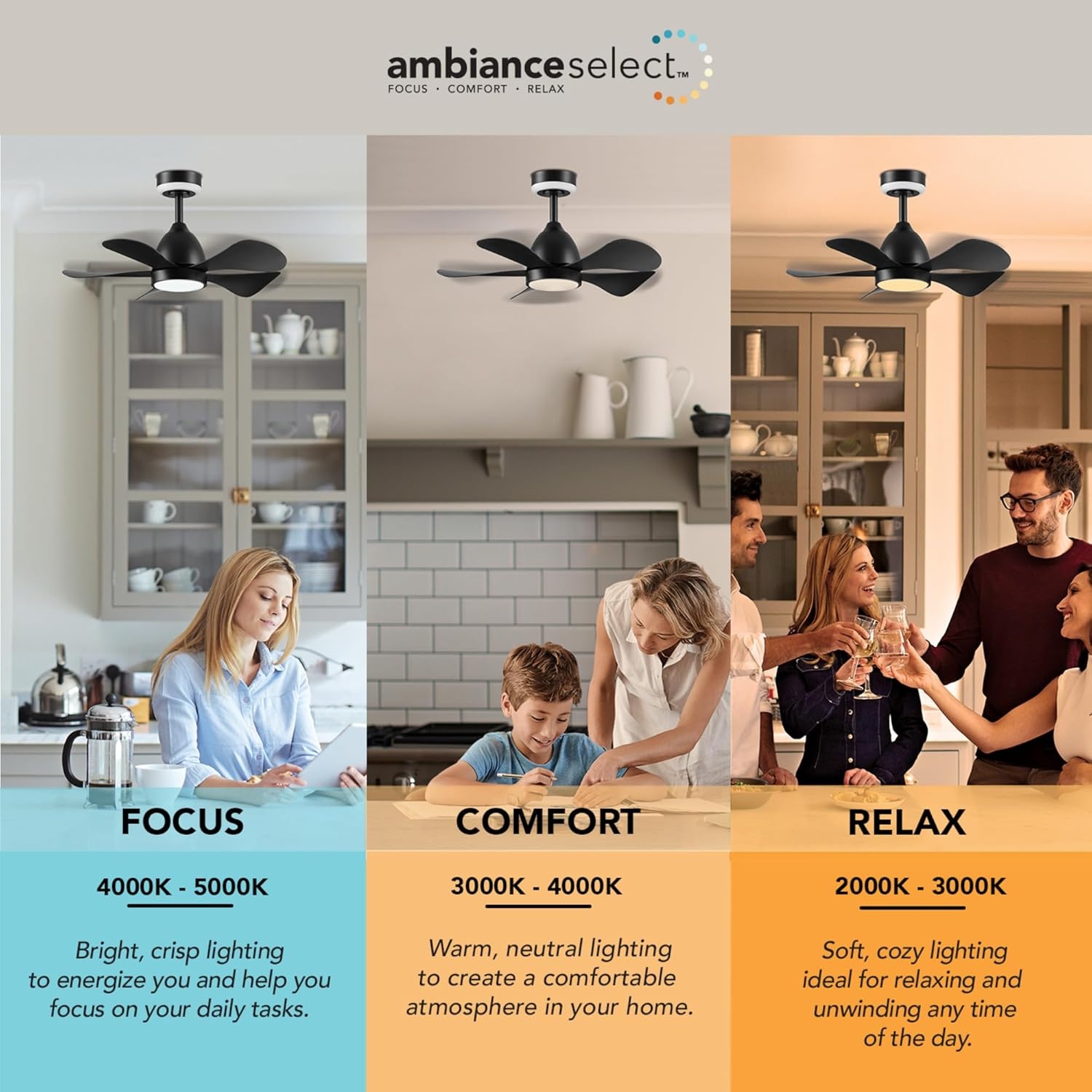 image:imageGlobe Electric 37000023 52 2Light Ceiling Fan with Glass Shade Remote Control WhisperQuiet DC Motor 6 Speeds Matte Black IndoorOutdoorBlack Solarus