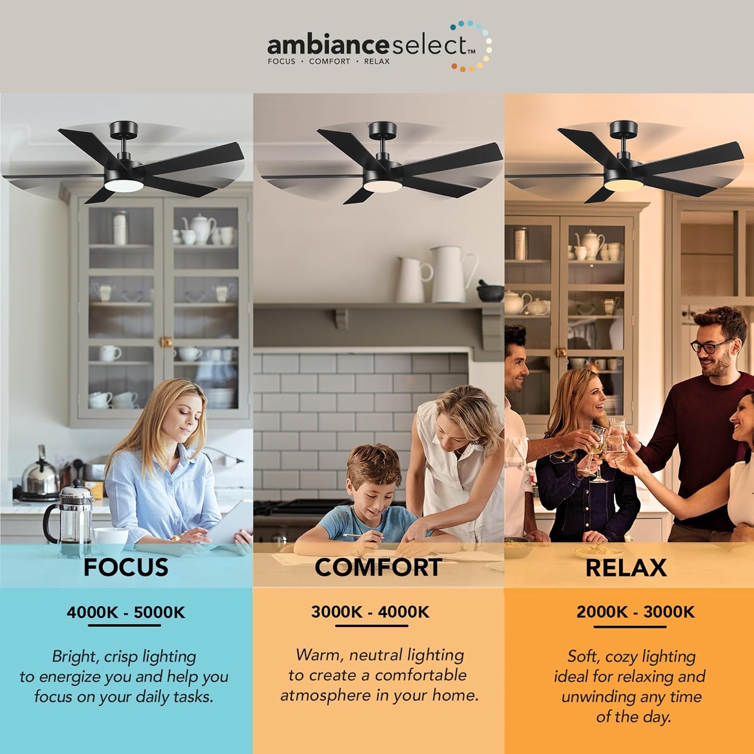 image:imageGlobe Electric 37000023 52 2Light Ceiling Fan with Glass Shade Remote Control WhisperQuiet DC Motor 6 Speeds Matte Black IndoorOutdoorBlack Veloria
