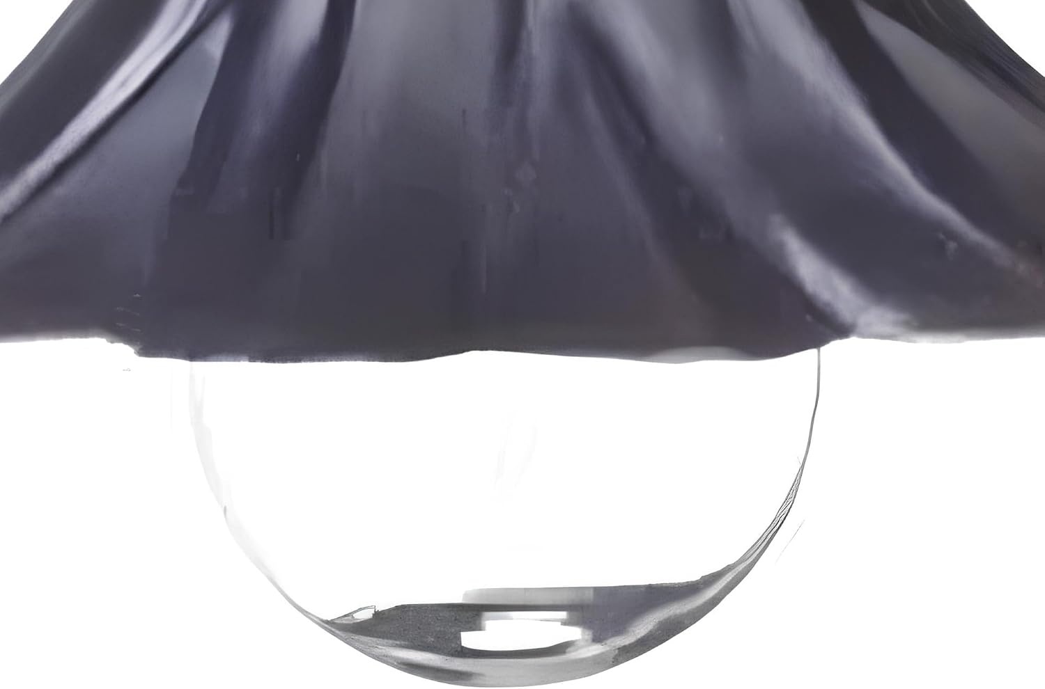 image:imageGlobe Electric Palma Collection 10 10 Light 5W G12 Incandescent String Light Set