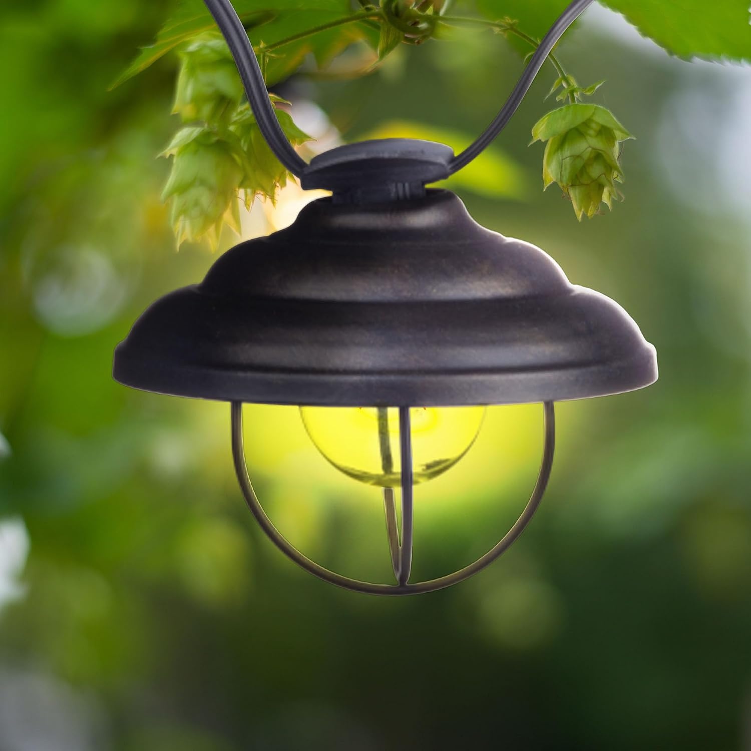 image:imageGlobe Electric Porto String 10 Light Set with Incandescent Design and Metal Cage for Indoor Spaces Kitchen and Patio Use Black
