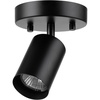 Pratt (Black)