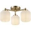 Brass  3 Frosted Ribbed Glass Shades