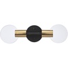Matte Black  Brass