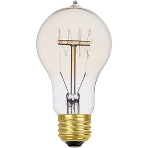 Globe Electric 01325 60W Vintage Edison A19 Quad Loop Incandescent Filament Light Bulb, E26 Base, 245 Lumens, Soft White(Soft White)