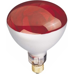 Globe Electric 03917 250-watt R40 Incandescent Heat Lamp Light Bulb, E26 Base, Red