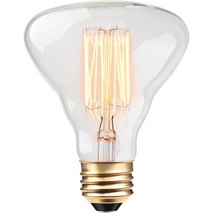 Globe Electric 84654 Designer 40W Labo Vintage Bulb(1 Count (Pack of 1))