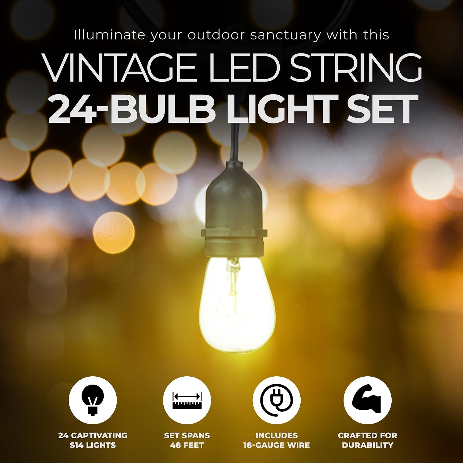 image:imageGlobe Electric Dublin Collection 48 24 Light S14 LED String Light Set