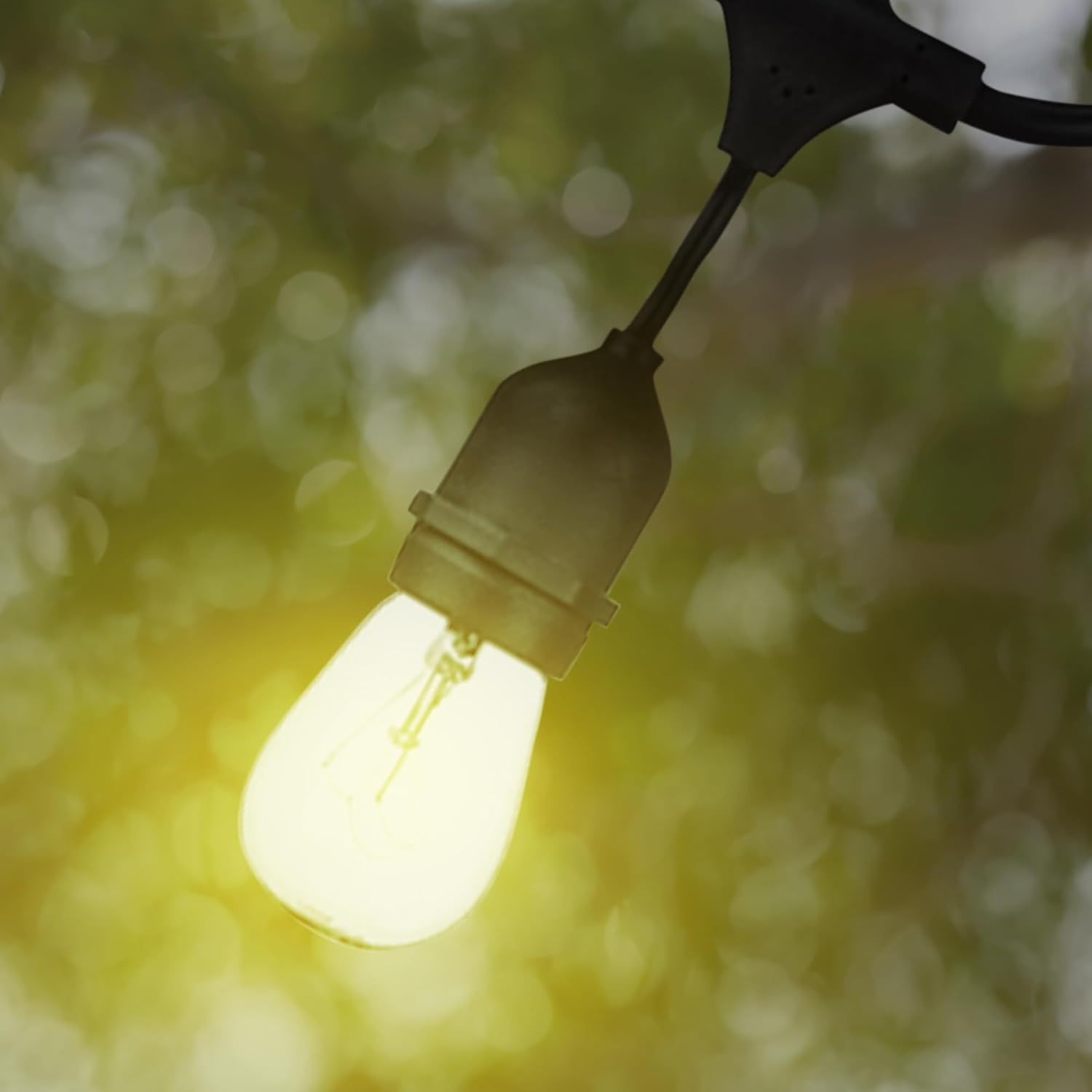 image:imageGlobe Electric Dublin Collection 48 24 Light S14 LED String Light Set