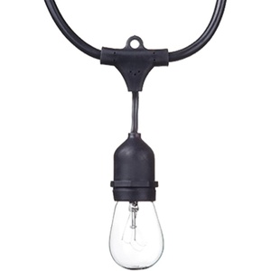Globe Electric Dublin Collection, 48′, 24 Light, S14, LED String Light Set